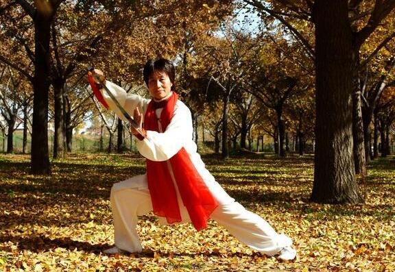 shaolin tai chi