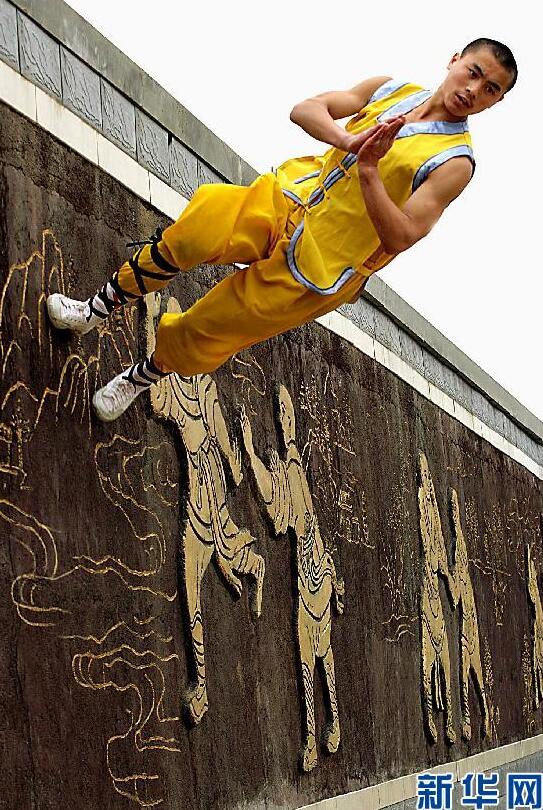 shaolin tai chi