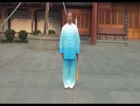 chen tai chi chuan